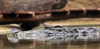 Jakie są zasady korzystania z komputera?